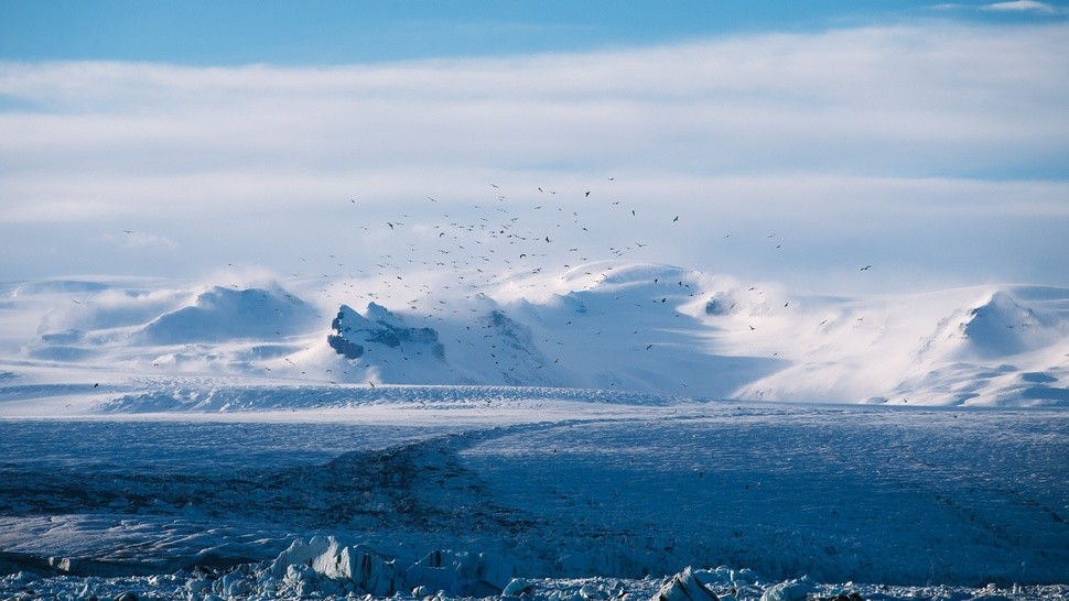 Version lg svalbard