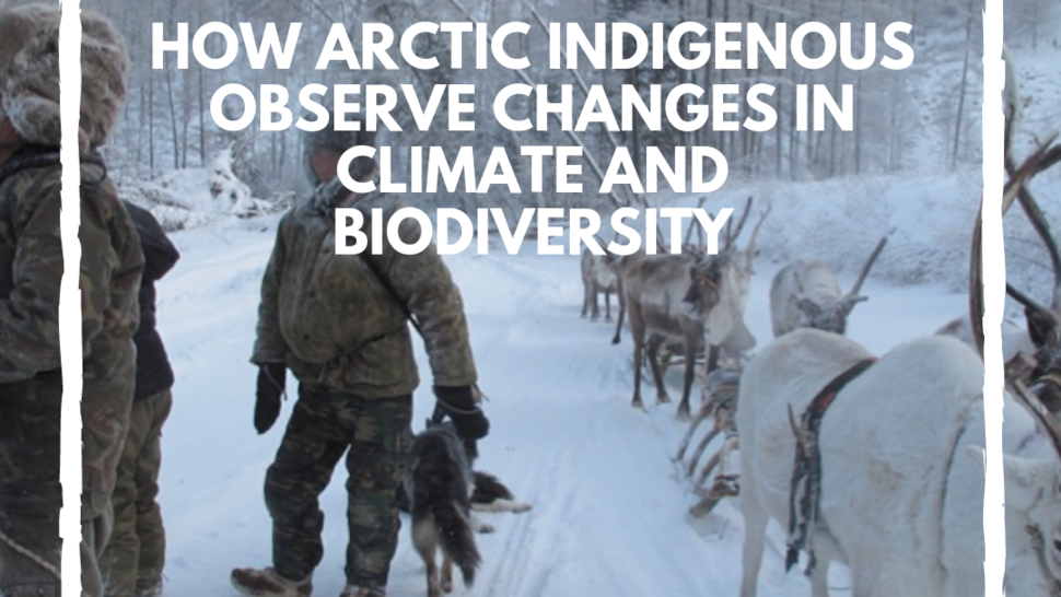 Version lg how arctic indigenous observe changes in climate and biodiversity
