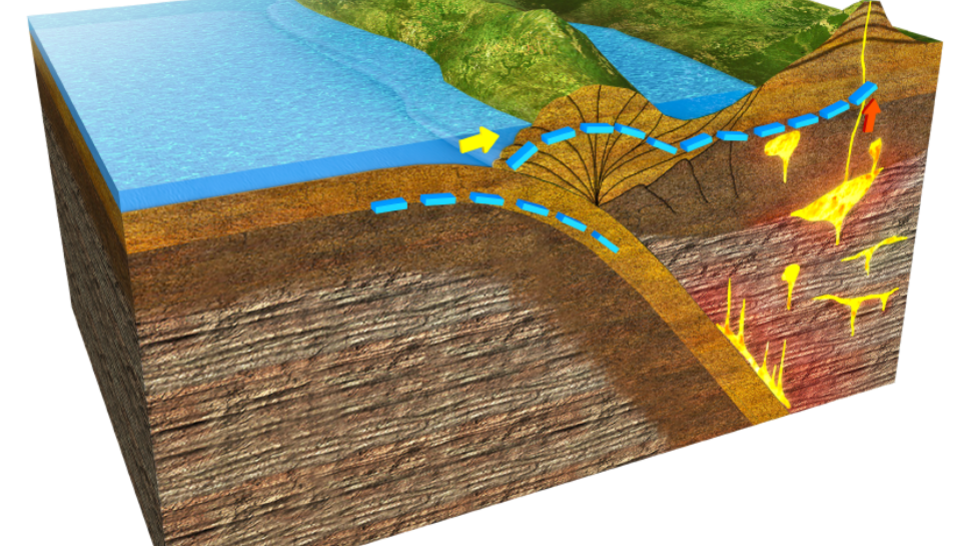 Version lg asset 1 2