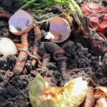 Version sm earthworm compost 2022 03 15 smaller